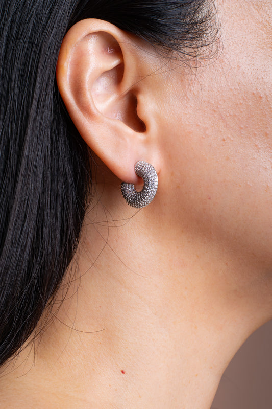 Renelle Earrings Silver