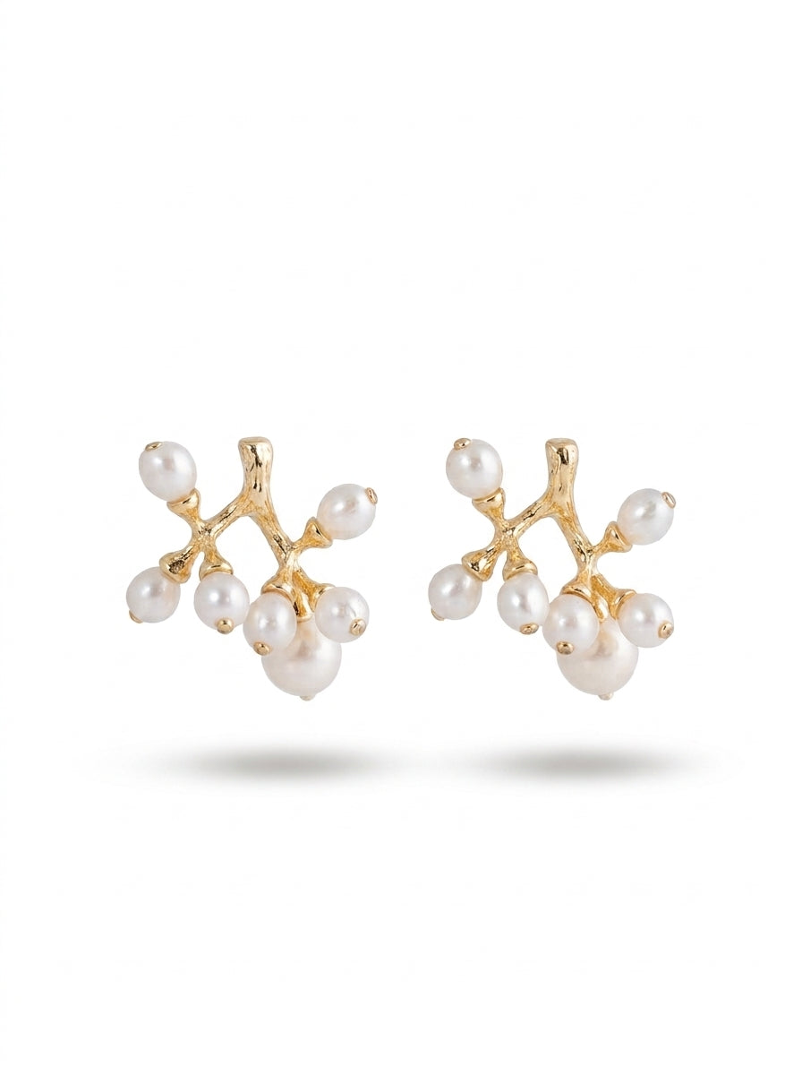 Poppy Coral Gold Earrings